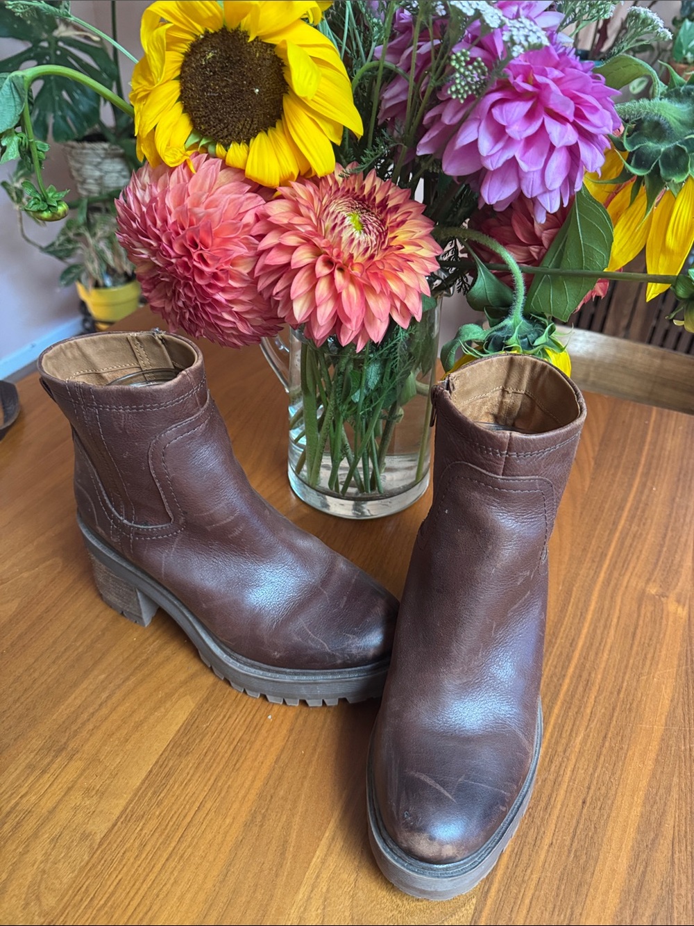 Zodiac Women’s Dark Brown Leather Ankle Zip Boots - Picture 8 of 8